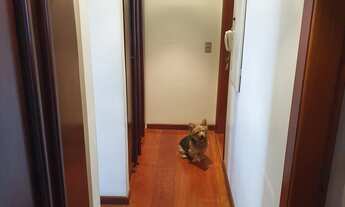 Imagem 4: Apartamento à venda em Santana com 152 m², 4 quartos, 2 suítes, 3 vagas