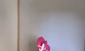 Imagem 5: Apartamento à venda em Vila Prudente com 74 m², 3 quartos, 1 suíte, 1 vaga