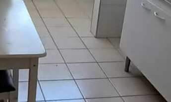 Imagem 5: Apartamento à venda em Capão Redondo com 50 m², 2 quartos, 1 vaga