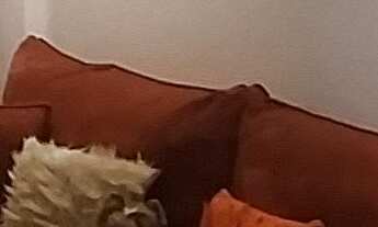 Imagem: Apartamento à venda em Freguesia do Ó