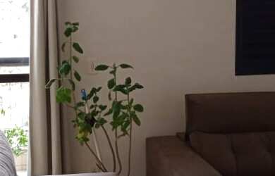 Imagem 4: Apartamento à venda em Vila Romana com 94 m², 3 quartos, 1 suíte, 2 vagas