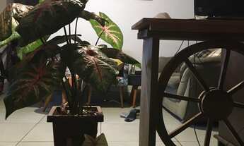 Imagem 7: Apartamento à venda em República com 71 m², 1 quarto