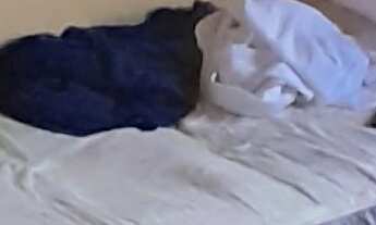 Imagem 5: Apartamento à venda em Campo Limpo com 57 m², 2 quartos, 1 vaga