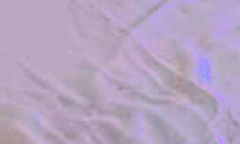 Imagem 4: Apartamento à venda em Guaianases com 40 m², 2 quartos, 1 vaga