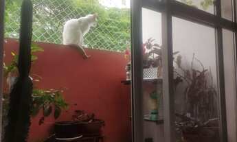 Imagem 5: Apartamento à venda em Saúde com 57 m², 2 quartos, 2 vagas