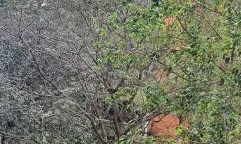 Imagem 7: Apartamento à venda em Higienópolis com 170 m², 4 quartos, 1 suíte, 2 vagas