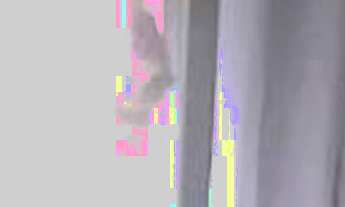 Imagem 4: Apartamento à venda em Pedreira com 74 m², 3 quartos, 1 suíte, 1 vaga