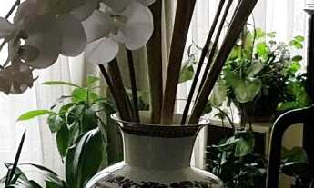 Imagem 4: Apartamento à venda em Sumaré com 142 m², 3 quartos, 1 vaga