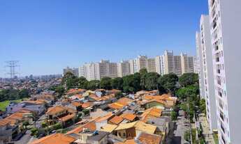 Imagem: APARTAMENTO em São Paulo - SP, Jardim Íris