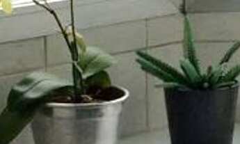 Imagem 6: 2 dormitórios na Rua Nazaré Rezek Farah