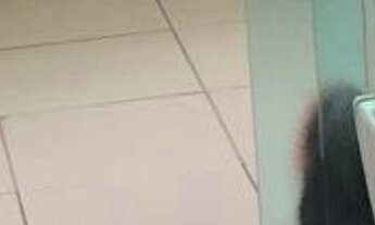 Imagem 5: 2 dormitórios na Rua Nazaré Rezek Farah