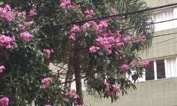 Imagem 5: Apartamento no Edificio MAISON DU SOLEIL