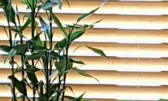 Imagem 3: Apartamento à venda em Bela Vista com 25 m², 1 quarto, 1 vaga