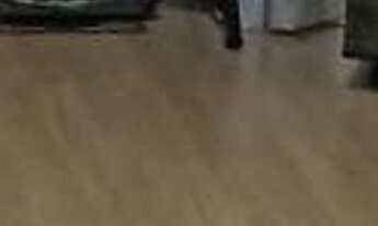 Imagem 7: Apartamento à venda em José Bonifácio com 57 m², 2 quartos, 1 vaga