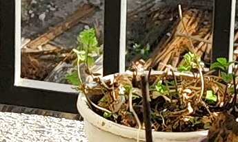 Imagem 6: Apartamento à venda em Brás com 51 m², 2 quartos, 1 vaga