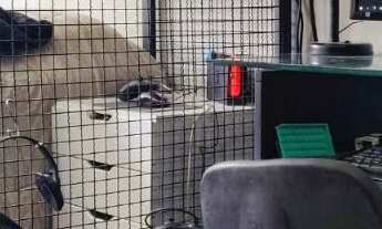 Imagem 5: Apartamento à venda em Aclimação com 74 m², 2 quartos, 1 suíte, 2 vagas