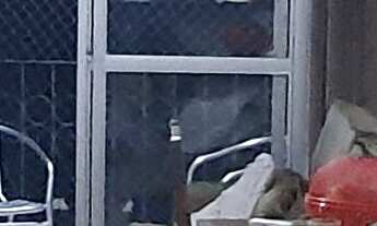 Imagem 5: Apartamento à venda em Butantã com 53 m², 2 quartos, 1 vaga