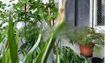 Imagem 4: Apartamento à venda em Vila Romana com 173 m², 4 quartos, 3 suítes, 4 vagas