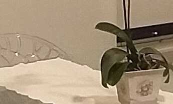 Imagem 5: Apartamento à venda em Freguesia do Ó com 107 m², 3 quartos, 3 suítes, 2 vagas