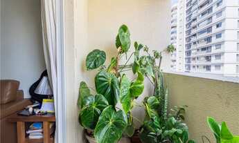 Imagem 6: APARTAMENTO em São Paulo - SP, Jabaquara