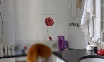 Imagem 6: Apartamento à venda em Santana com 70 m², 1 quarto, 1 suíte