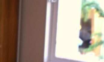 Imagem 5: Venda Apartamento com 2 dormitórios