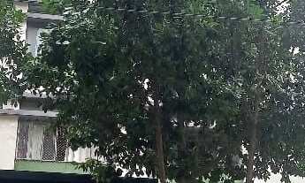 Imagem 2: Apartamento à venda em República com 39 m², 1 quarto