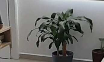 Imagem: Apartamento à venda em Vila Formosa com