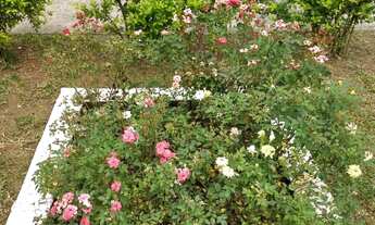 Imagem: Apartamento à venda em Ermelino Matarazzo