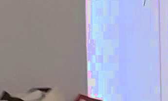 Imagem: Apartamento à venda em Vila Sônia com