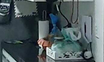 Imagem 4: Apartamento à venda em Butantã com 53 m², 2 quartos, 1 vaga