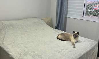 Imagem 6: Apartamento à venda em Vila Andrade com 41 m², 2 quartos