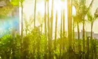 Imagem 3: Apartamento à venda em Brás com 50 m², 1 quarto, 1 vaga