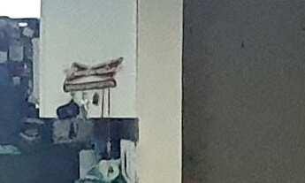 Imagem 2: Apartamento à venda em Butantã com 53 m², 2 quartos, 1 vaga