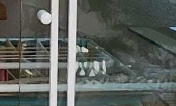 Imagem 3: Apartamento à venda em Vila Sônia com 137 m², 3 quartos, 1 suíte, 2 vagas