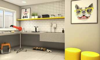 Imagem 5: APARTAMENTO em São Paulo - SP, Água Branca