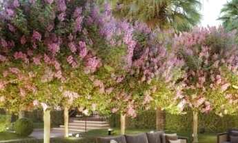 Imagem 5: Apartamento à venda em Brás com 122 m², 3 quartos, 3 suítes, 2 vagas