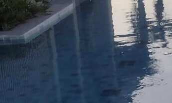 Imagem 4: Venda Apartamento com 2 dormitórios