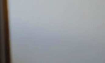 Imagem 4: Apartamento à venda em Vila Matilde com 40 m², 2 quartos, 1 vaga