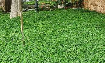 Imagem 2: Apartamento à venda em Aclimação com 110 m², 3 quartos, 1 vaga