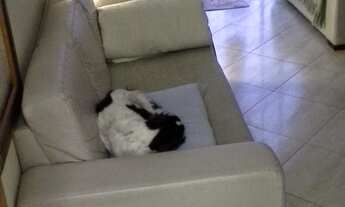 Imagem 5: Apartamento à venda em São Lucas com 123 m², 2 quartos, 1 suíte, 1 vaga