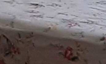 Imagem 3: Apartamento à venda em Pedreira com 56 m², 2 quartos, 1 vaga