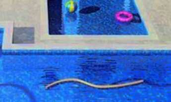 Imagem 7: Apartamento à venda em Bosque da Saúde com 90 m², 2 quartos, 1 suíte, 2 vagas