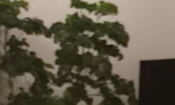 Imagem 2: Apartamento à venda em Vila Prudente com 54 m², 2 quartos, 1 vaga