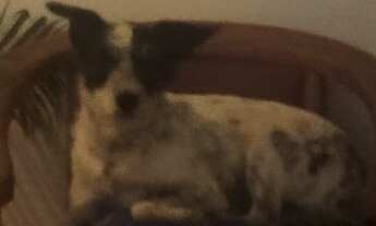 Imagem 2: Apartamento à venda em Sacomã com 51 m², 2 quartos, 1 vaga