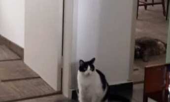 Imagem 3: Apartamento à venda em Saúde com 55 m², 2 quartos