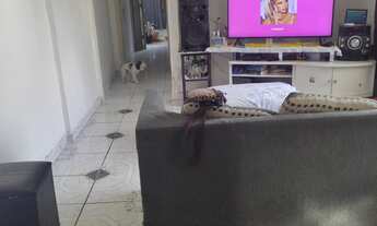 Imagem: Apartamento à venda em República com 57