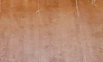 Imagem: Apartamento à venda em Sacomã com 60 m²