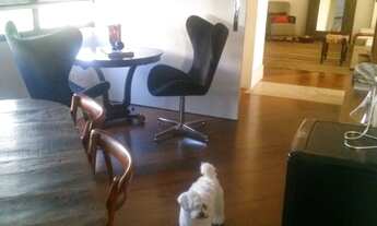 Imagem 6: Apartamento à venda em Morumbi com 590 m², 4 quartos, 4 suítes, 4 vagas