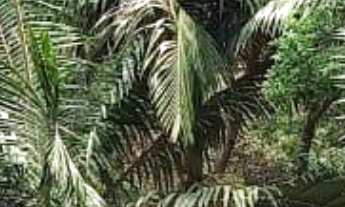 Imagem 3: Apartamento à venda em Sumaré com 81 m², 3 quartos, 1 suíte, 1 vaga